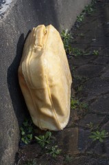 2016_PHOTOS_NAUFRAGES_60_MP.jpg