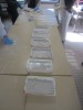 IMG_6704_MP.jpg