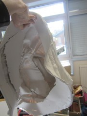 IMG_6417_MP.jpg