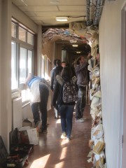 IMG_6535_MP.jpg